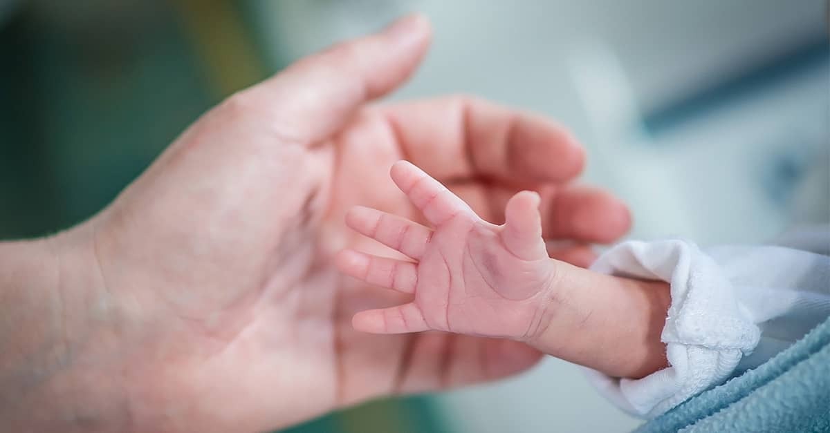 A premature baby reaches his hand towards his father's hand.