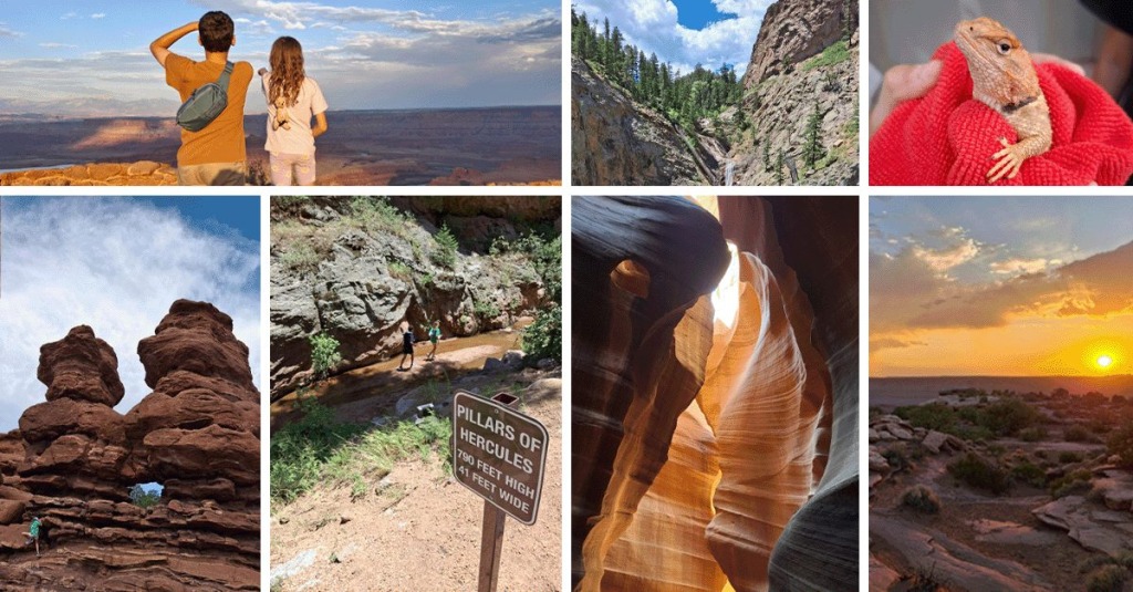 Photos from the Bauch family road trip including Antelope Canyon, Dead Horse Point in Arches National Park, Seven Falls in Colorado Springs, a lizard, and a sunset.