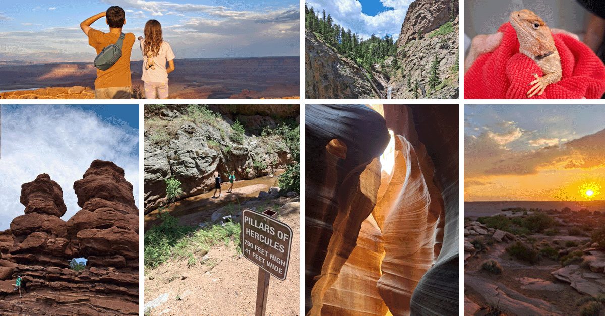 Photos from the Bauch family road trip including Antelope Canyon, Dead Horse Point in Arches National Park, Seven Falls in Colorado Springs, a lizard, and a sunset.