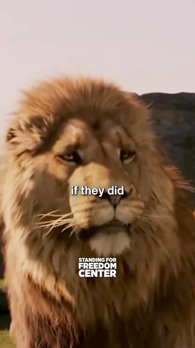 Why does Hollywood want to trans Aslan?
